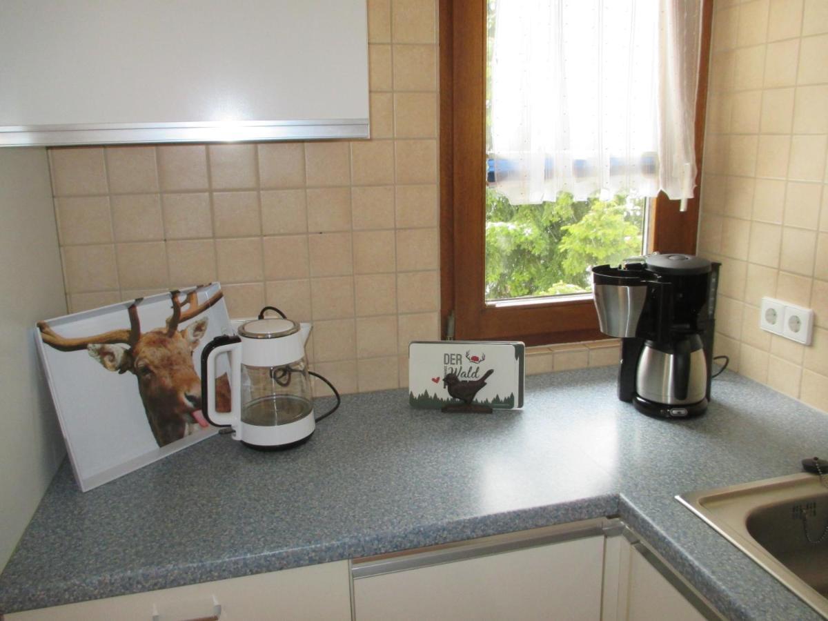 Haus Steininger Apartment Schluchsee Ngoại thất bức ảnh